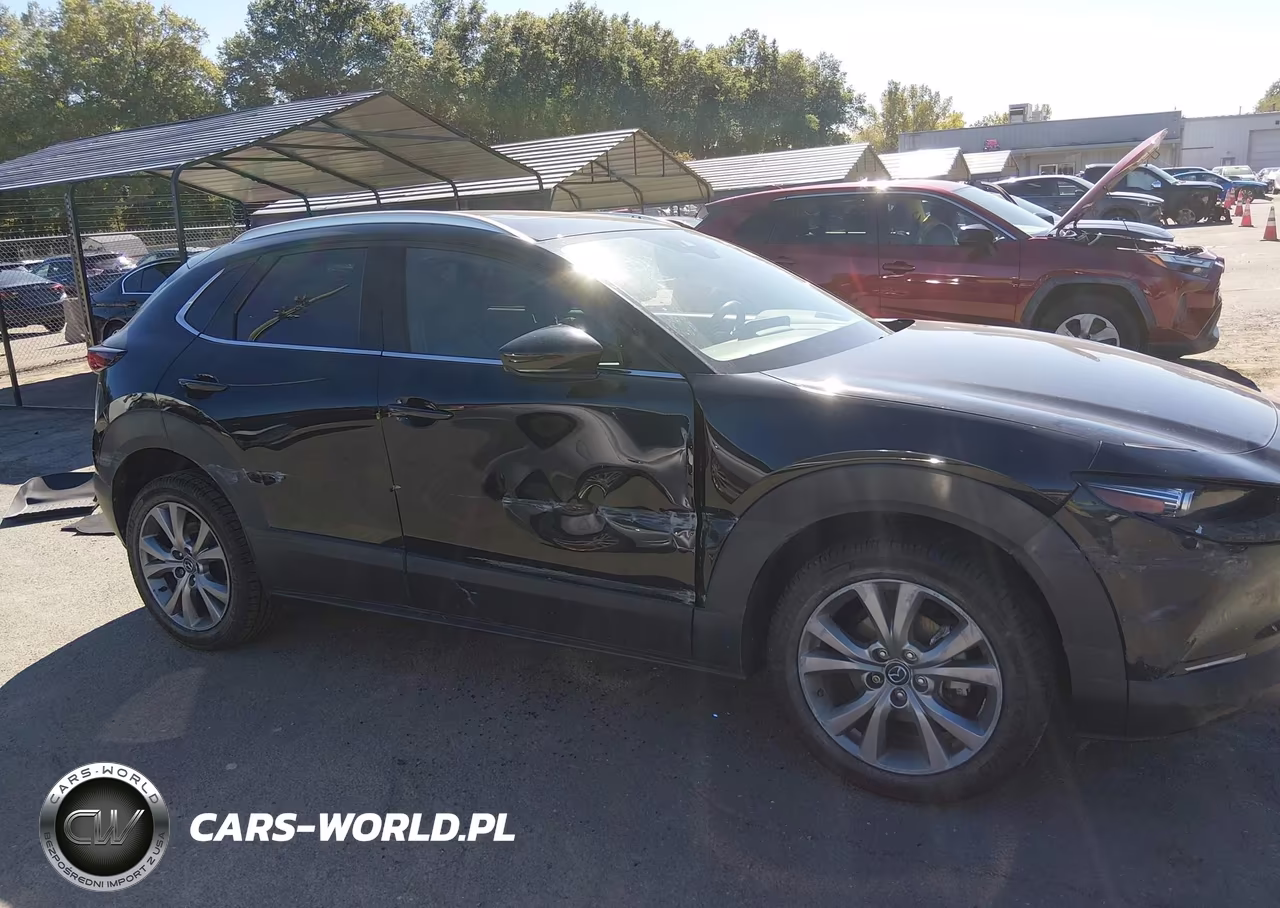 2021 Mazda Cx-30 Premium VIN:3MVDMBDM4MM218667 - 13