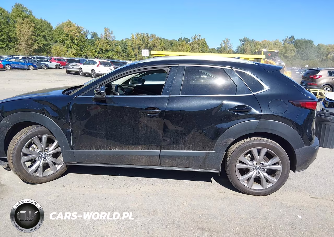 2021 Mazda Cx-30 Premium VIN:3MVDMBDM4MM218667 - 14