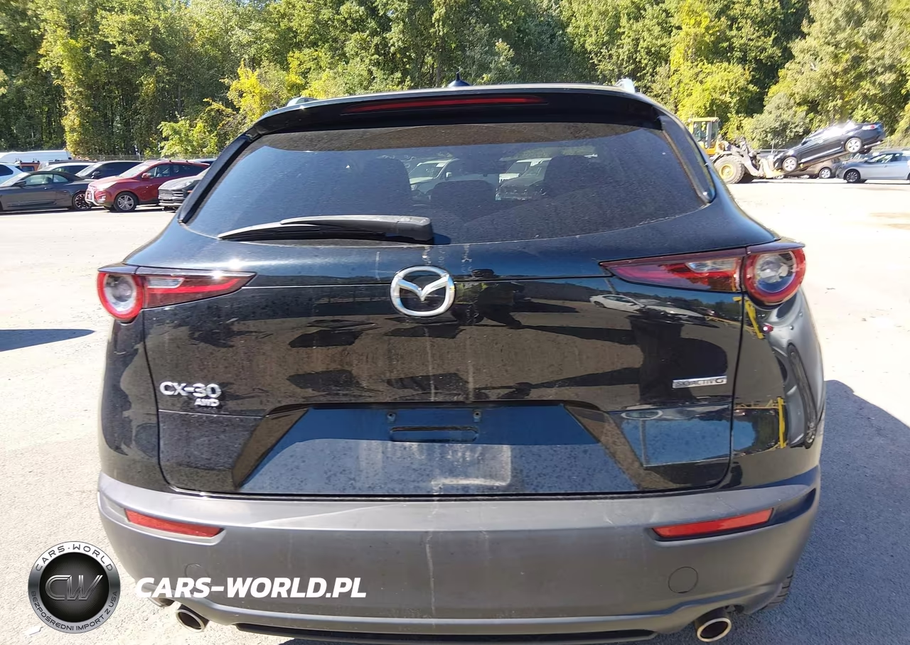 2021 Mazda Cx-30 Premium VIN:3MVDMBDM4MM218667 - 16