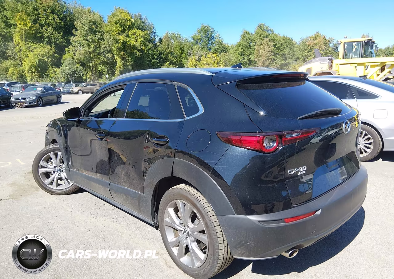 2021 Mazda Cx-30 Premium VIN:3MVDMBDM4MM218667 - 3