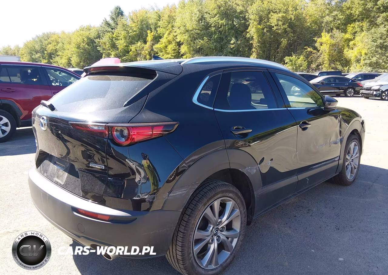 2021 Mazda Cx-30 Premium VIN:3MVDMBDM4MM218667 - 4