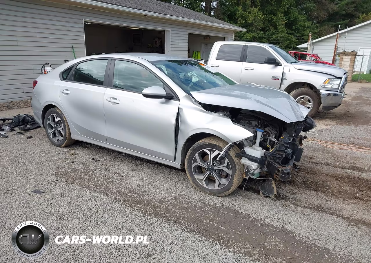 2019 Kia Forte Lxs