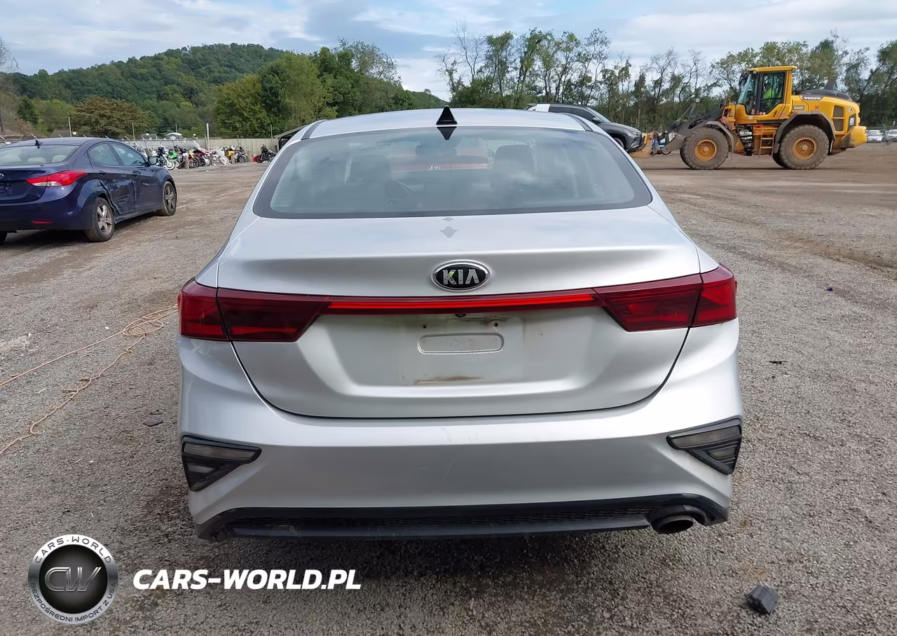 2019 Kia Forte Lxs VIN:3KPF24AD5KE006884 - 17