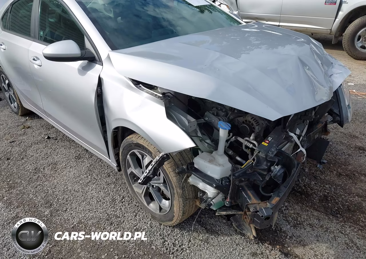 2019 Kia Forte Lxs VIN:3KPF24AD5KE006884 - 18