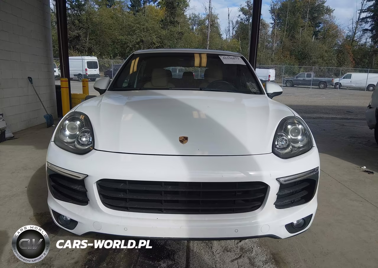 2016 Porsche Cayenne VIN:WP1AA2A29GLA06299 - 13