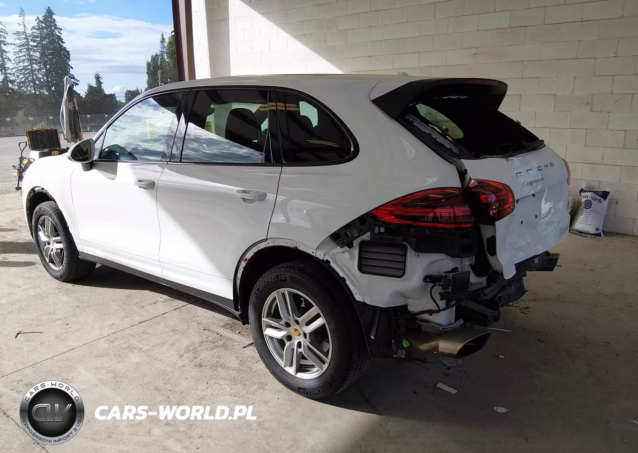 2016 Porsche Cayenne VIN:WP1AA2A29GLA06299 - 3