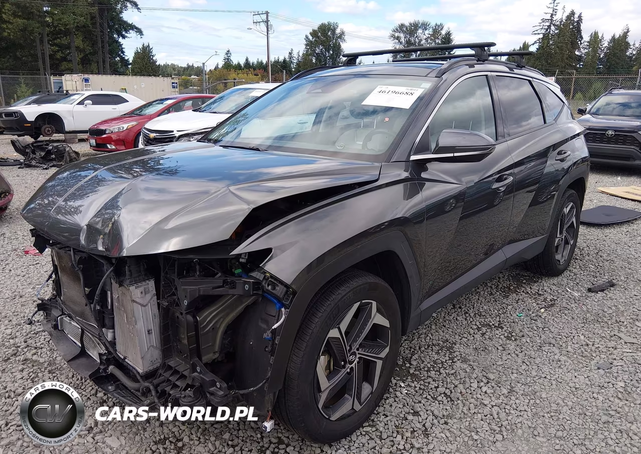 2023 Hyundai Tucson Hybrid Limited VIN:KM8JECA19PU134552 - 2