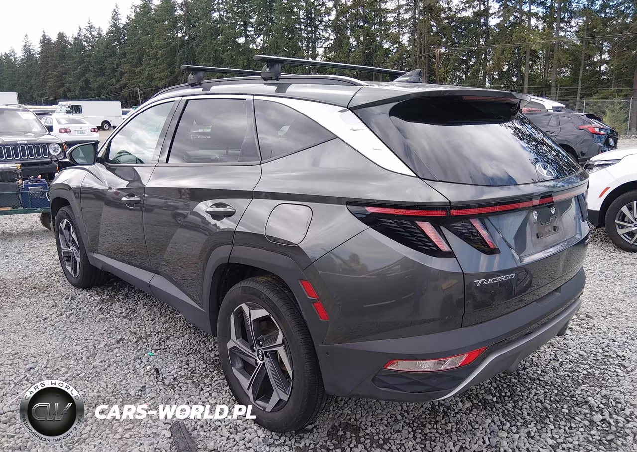 2023 Hyundai Tucson Hybrid Limited VIN:KM8JECA19PU134552 - 3