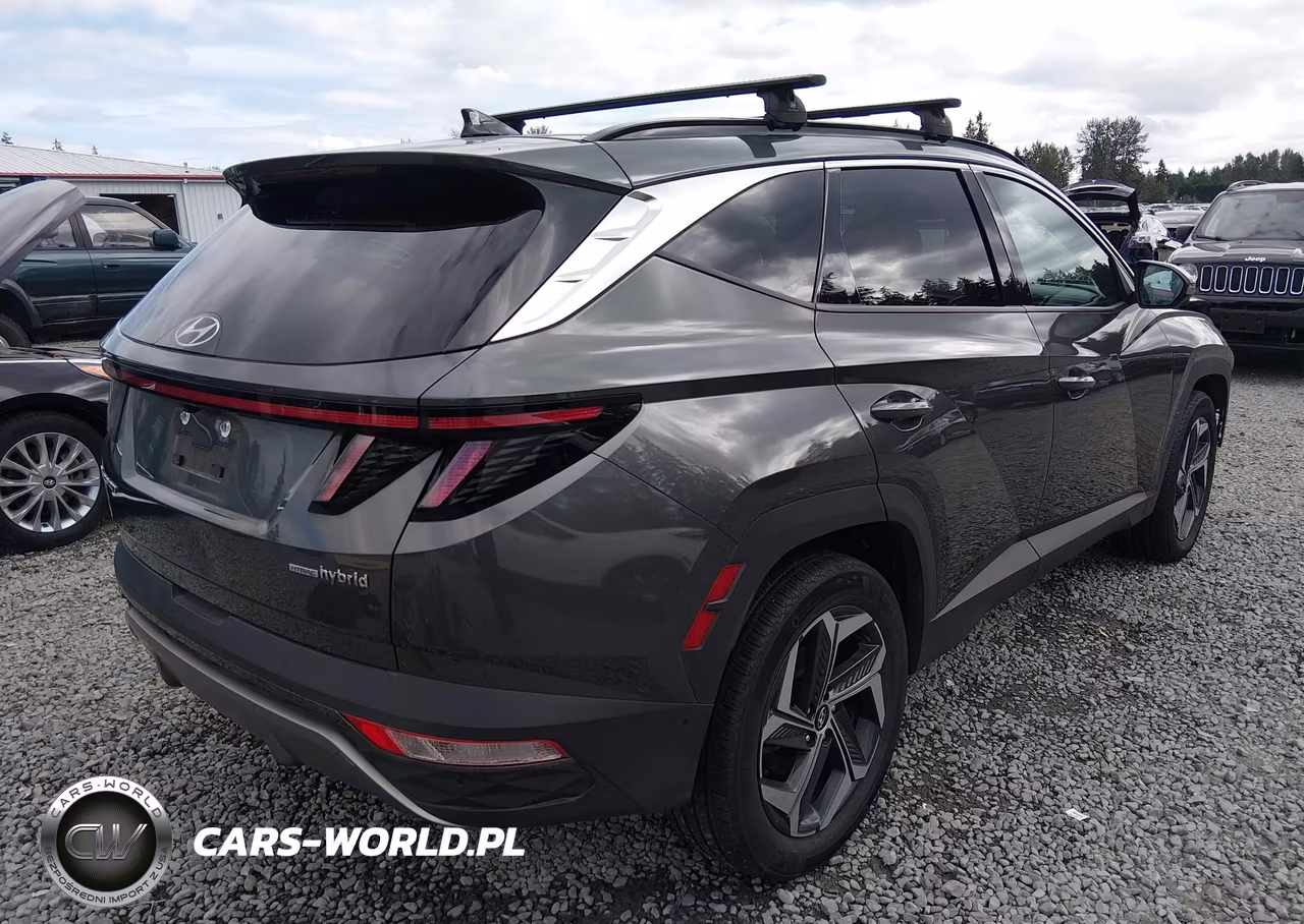 2023 Hyundai Tucson Hybrid Limited VIN:KM8JECA19PU134552 - 4