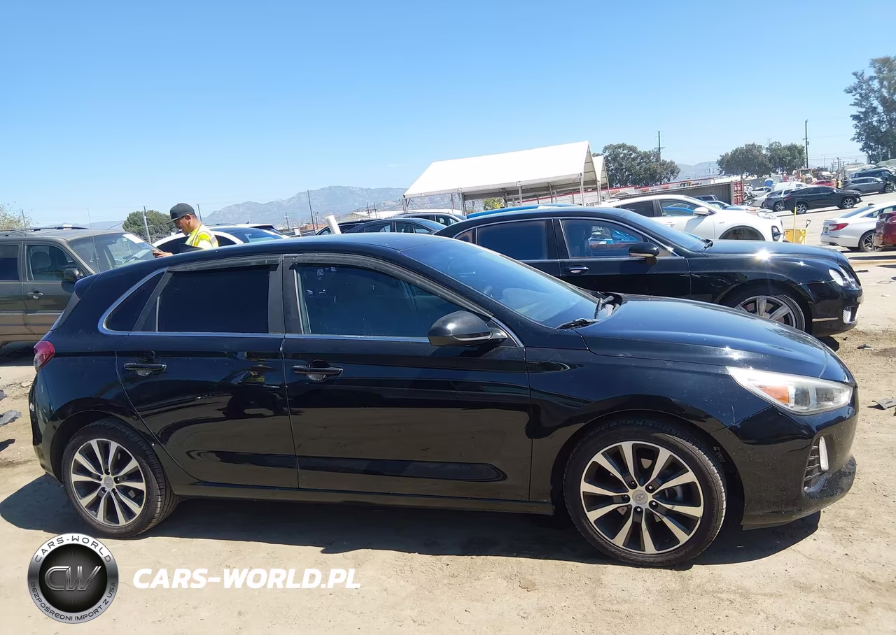 2018 Hyundai Elantra Gt VIN:KMHH35LE2JU069972 - 13