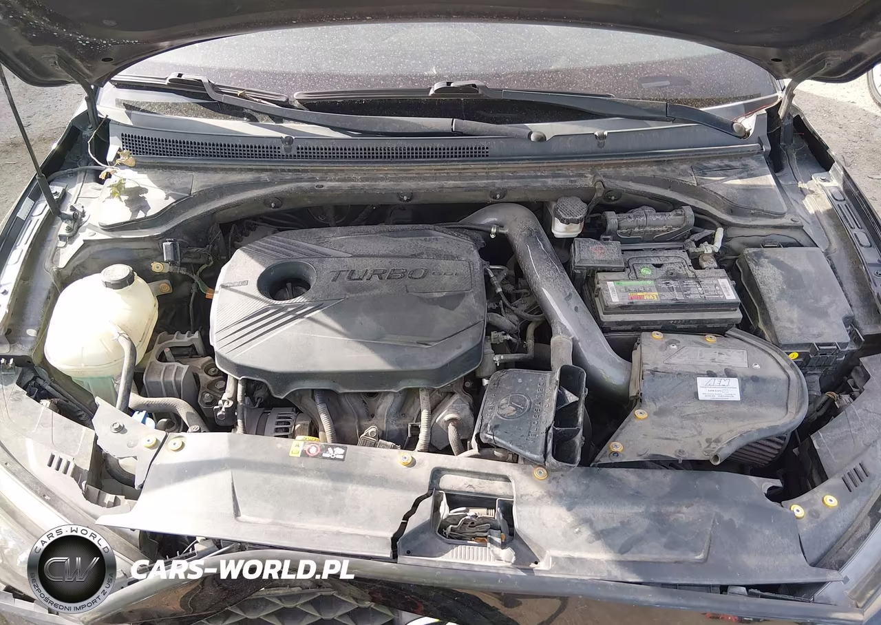 2019 Hyundai Veloster Turbo VIN:KMHTH6AB0KU009409 - 10
