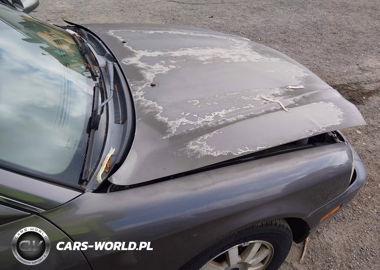 2002 Kia Optima Lx-Se VIN:KNAGD128325125461 - 12