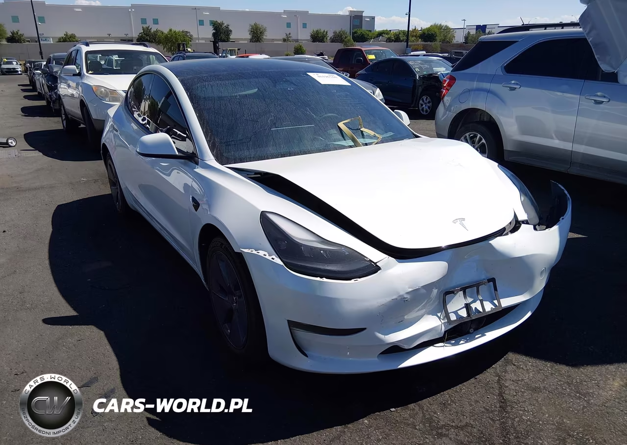 2023 Tesla Model 3 Rear-Wheel Drive