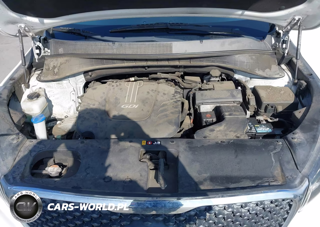 2017 Kia Sorento 3.3L Lx VIN:5XYPGDA56HG208269 - 10