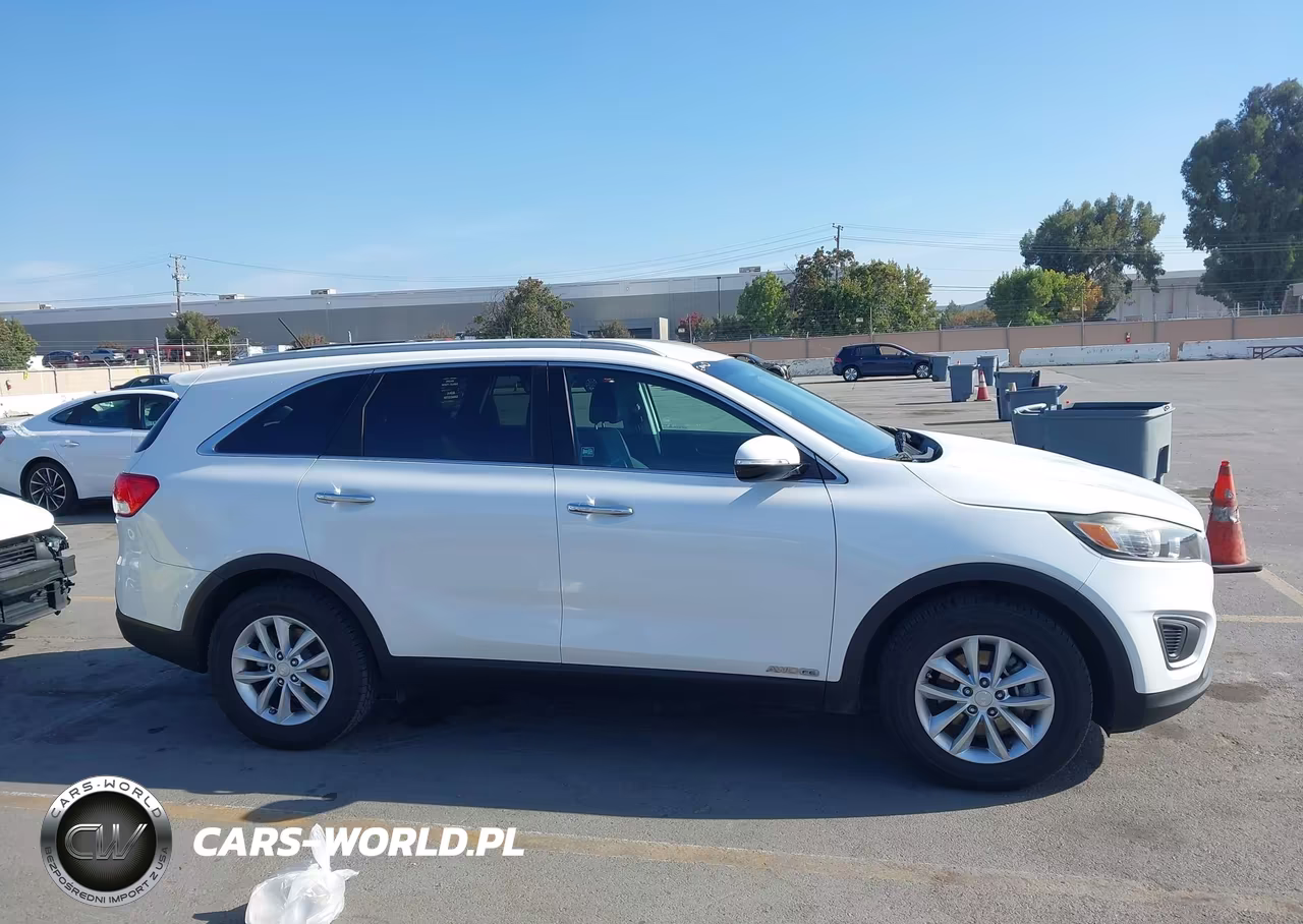 2017 Kia Sorento 3.3L Lx VIN:5XYPGDA56HG208269 - 13