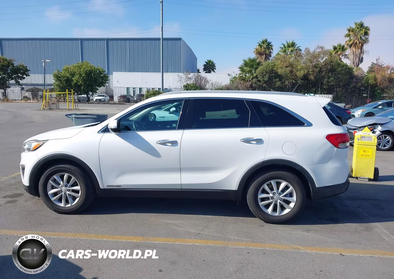 2017 Kia Sorento 3.3L Lx VIN:5XYPGDA56HG208269 - 14