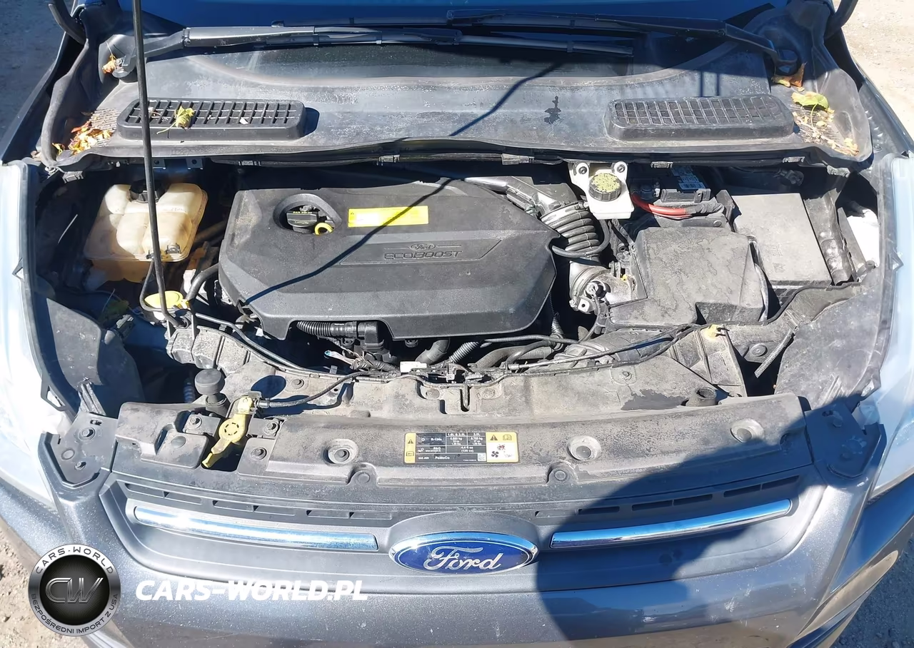 2015 Ford Escape Se VIN:1FMCU0GX0FUB07549 - 10