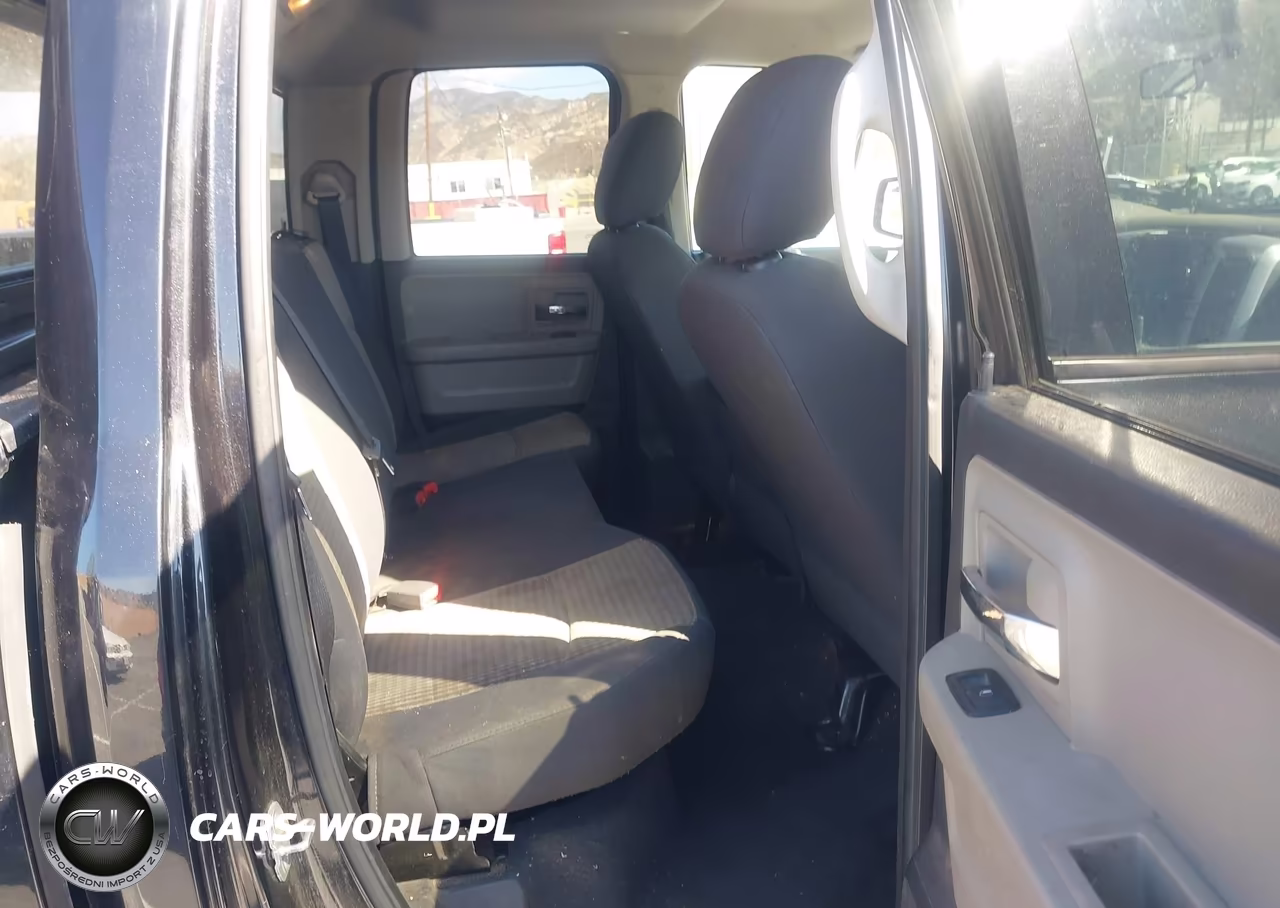 2010 Dodge Ram 1500 Slt-Sport-Trx VIN:1D7RB1GPXAS160148 - 8