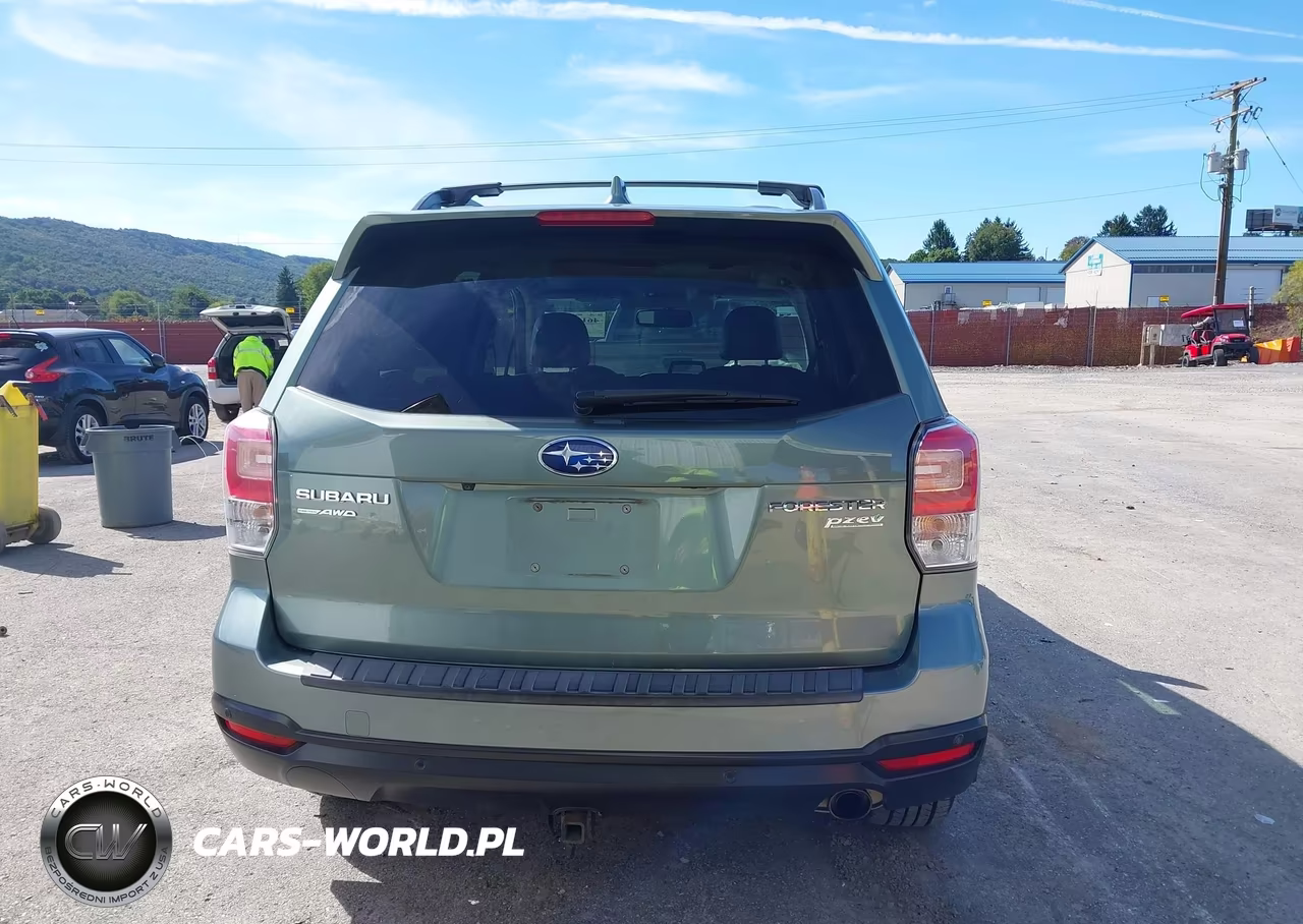 2017 Subaru Forester 2.5I Touring VIN:JF2SJAWC0HH425875 - 17