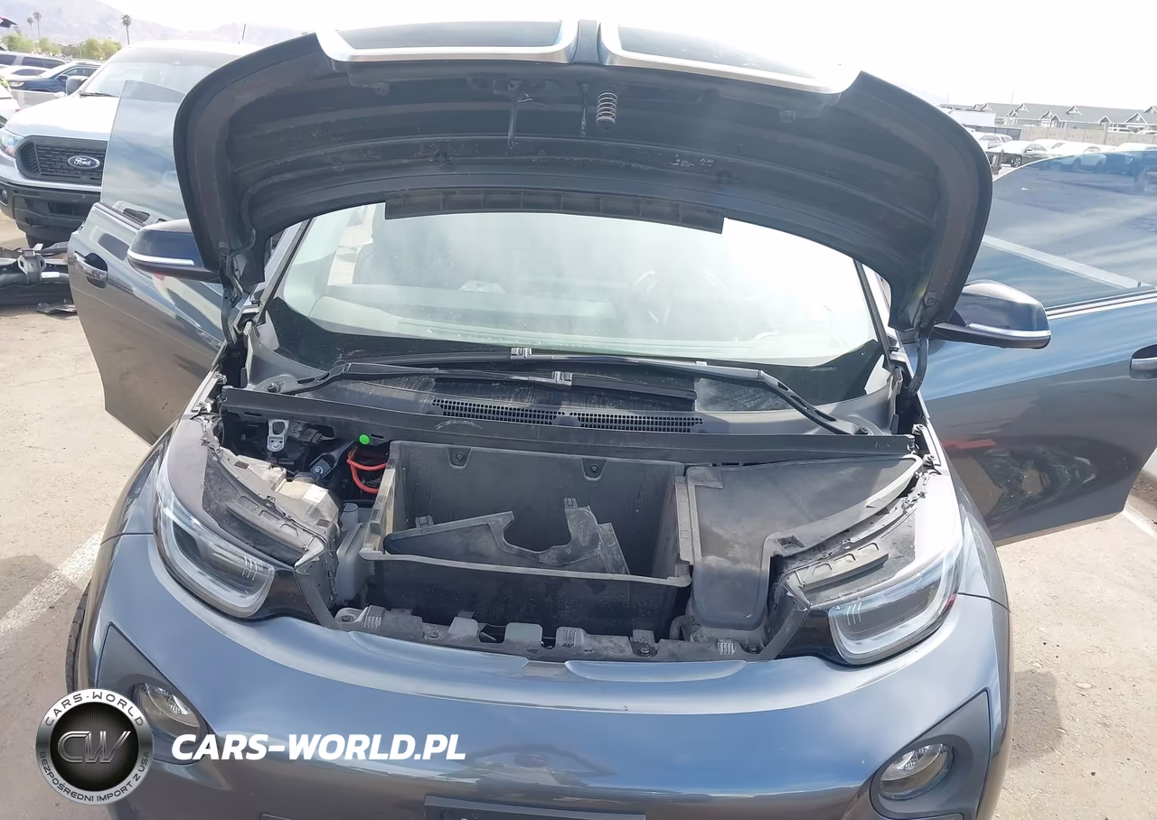 2016 BMW I3 Base W-Range Extender VIN:WBY1Z4C5XGV507668 - 10