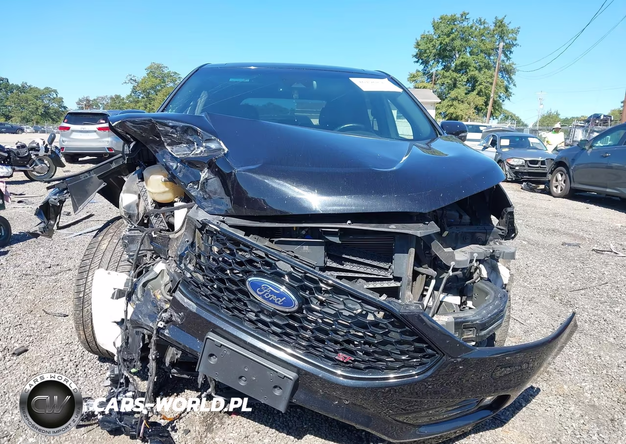 2019 Ford Edge St VIN:2FMPK4AP5KBB92041 - 12