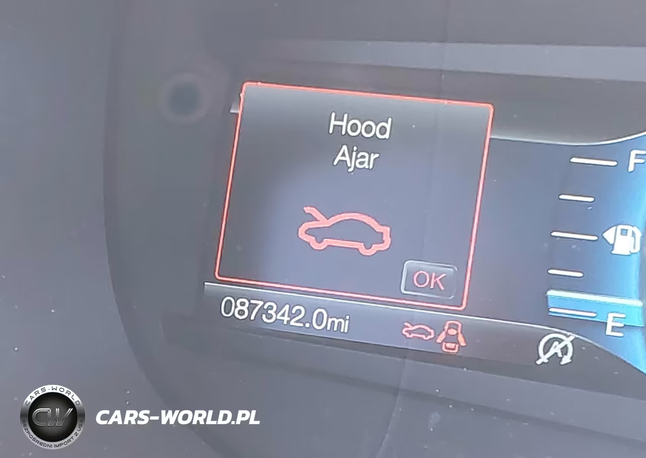 2019 Ford Edge St VIN:2FMPK4AP5KBB92041 - 15