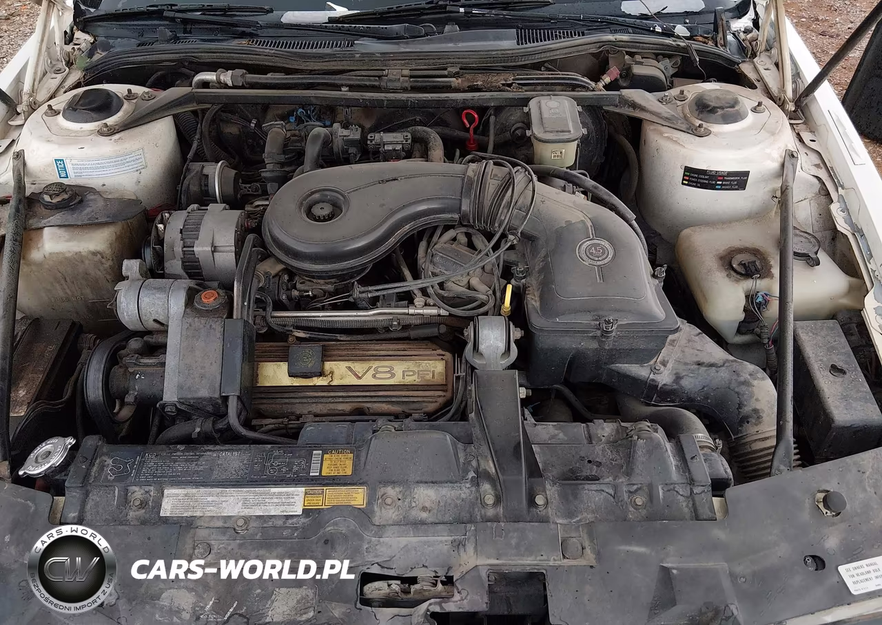 1990 Cadillac Eldorado VIN:1G6EL1337LU602855 - 10