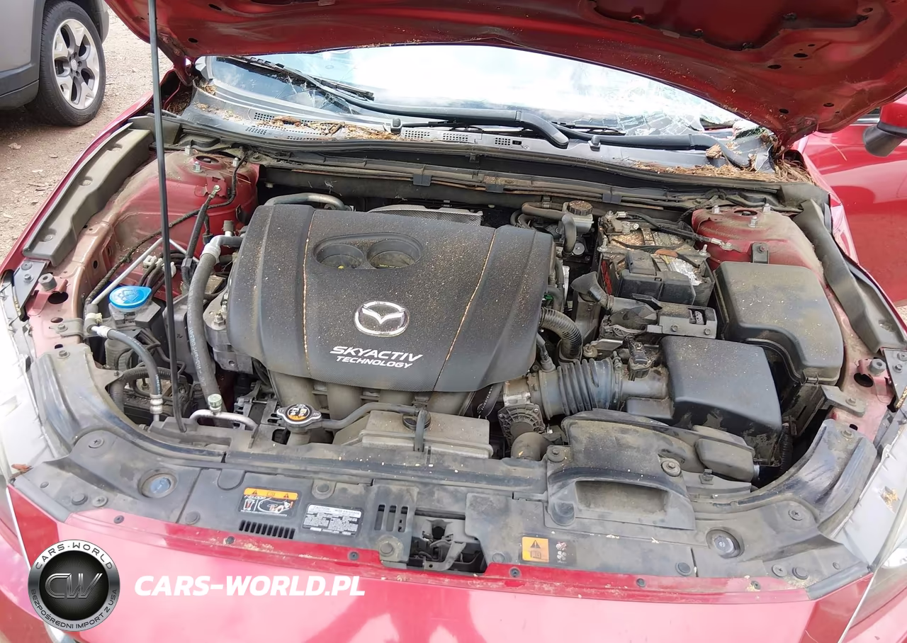 2014 Mazda Mazda3 S Grand Touring VIN:JM1BM1M31E1215900 - 10