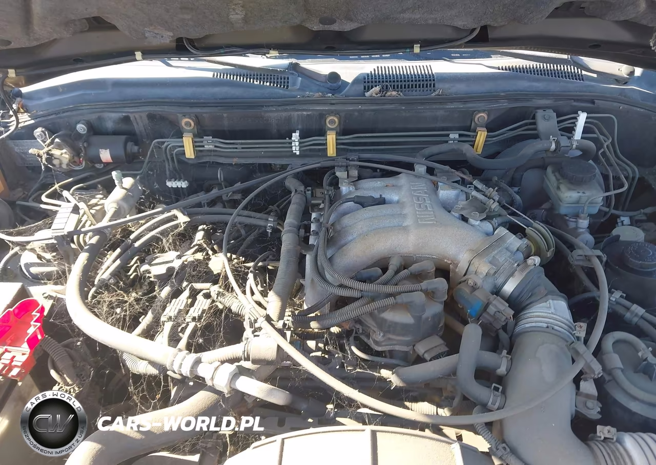 1996 Nissan Pathfinder Le-Se-Xe VIN:JN8AR05Y8TW003811 - 10