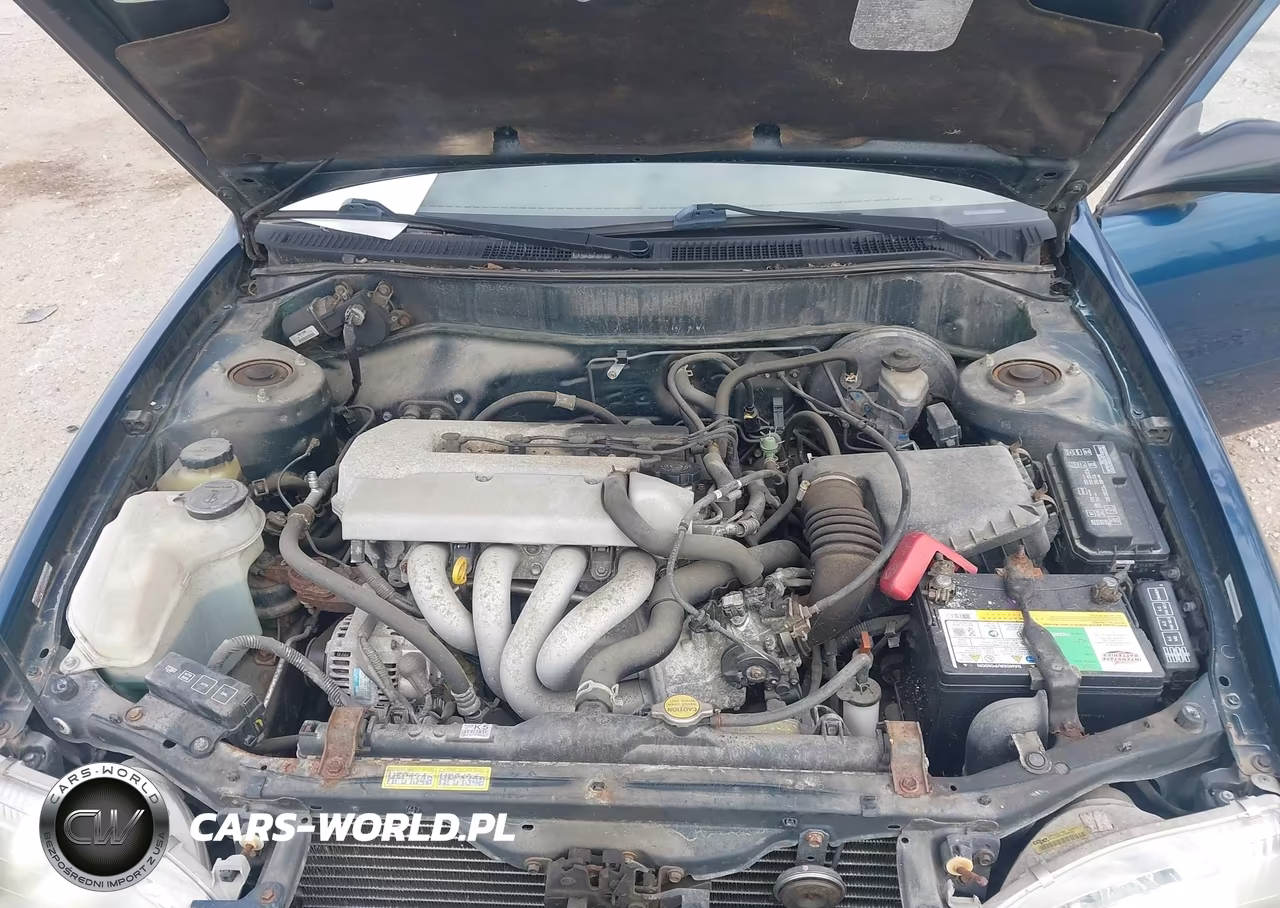1999 Toyota Corolla Ve VIN:1NXBR12E8XZ272033 - 10