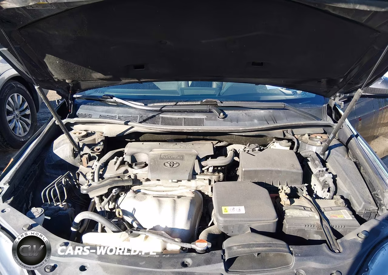 2016 Toyota Camry Se VIN:4T1BF1FKXGU264184 - 10