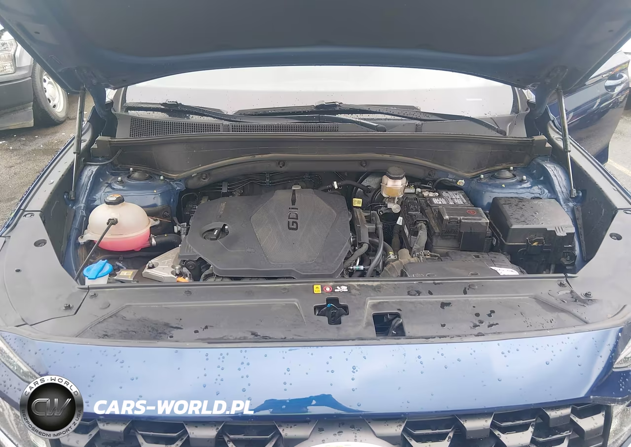 2023 Hyundai Santa Fe Se VIN:5NMS1DAJ4PH596566 - 10