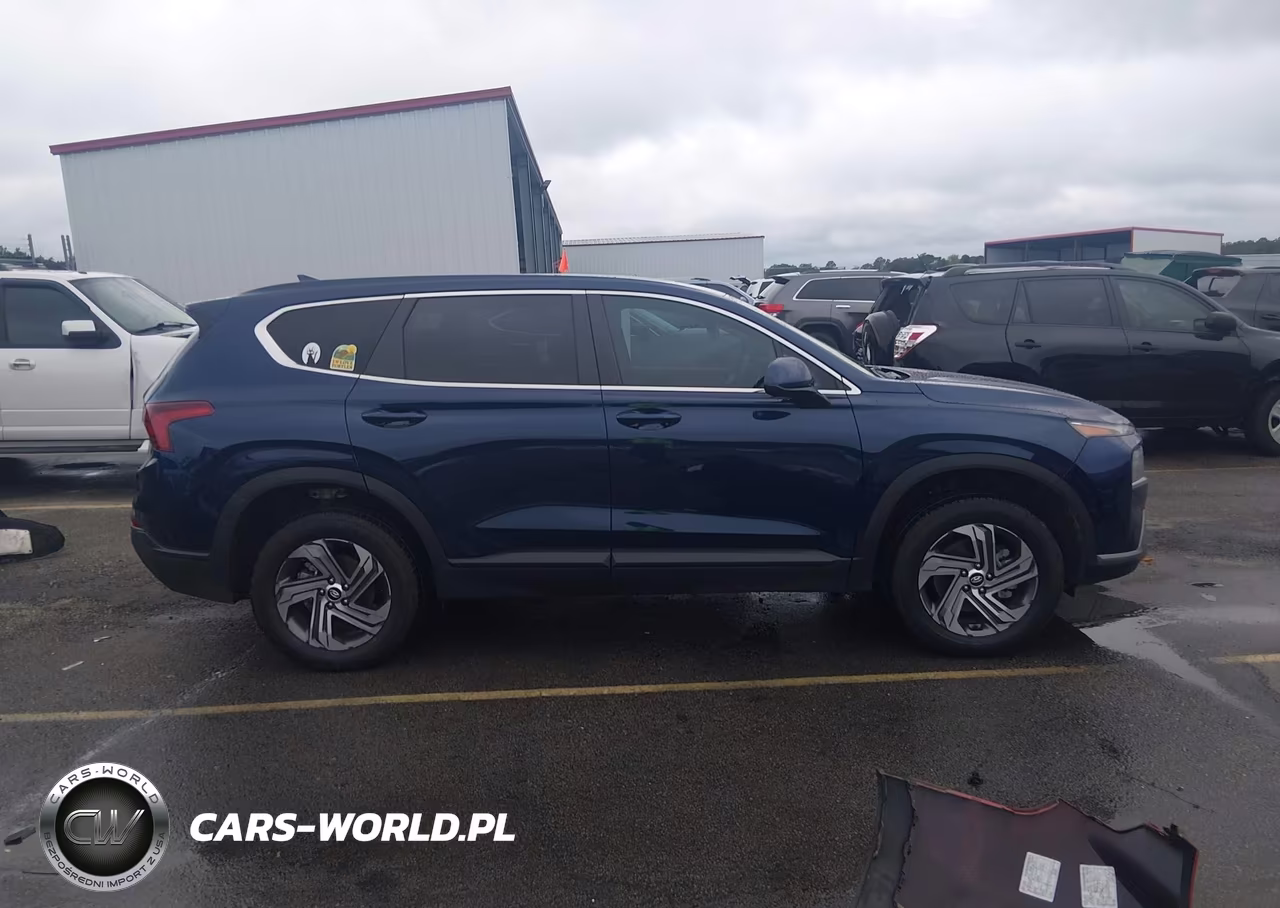 2023 Hyundai Santa Fe Se VIN:5NMS1DAJ4PH596566 - 13