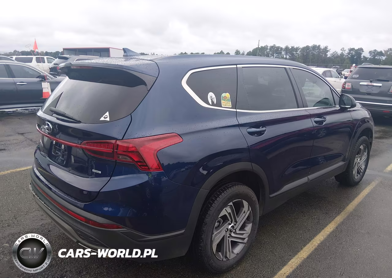 2023 Hyundai Santa Fe Se VIN:5NMS1DAJ4PH596566 - 4