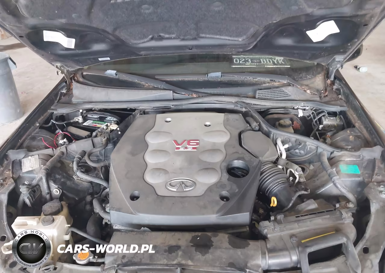 2004 Infiniti G35 VIN:JNKCV54E44M824582 - 10