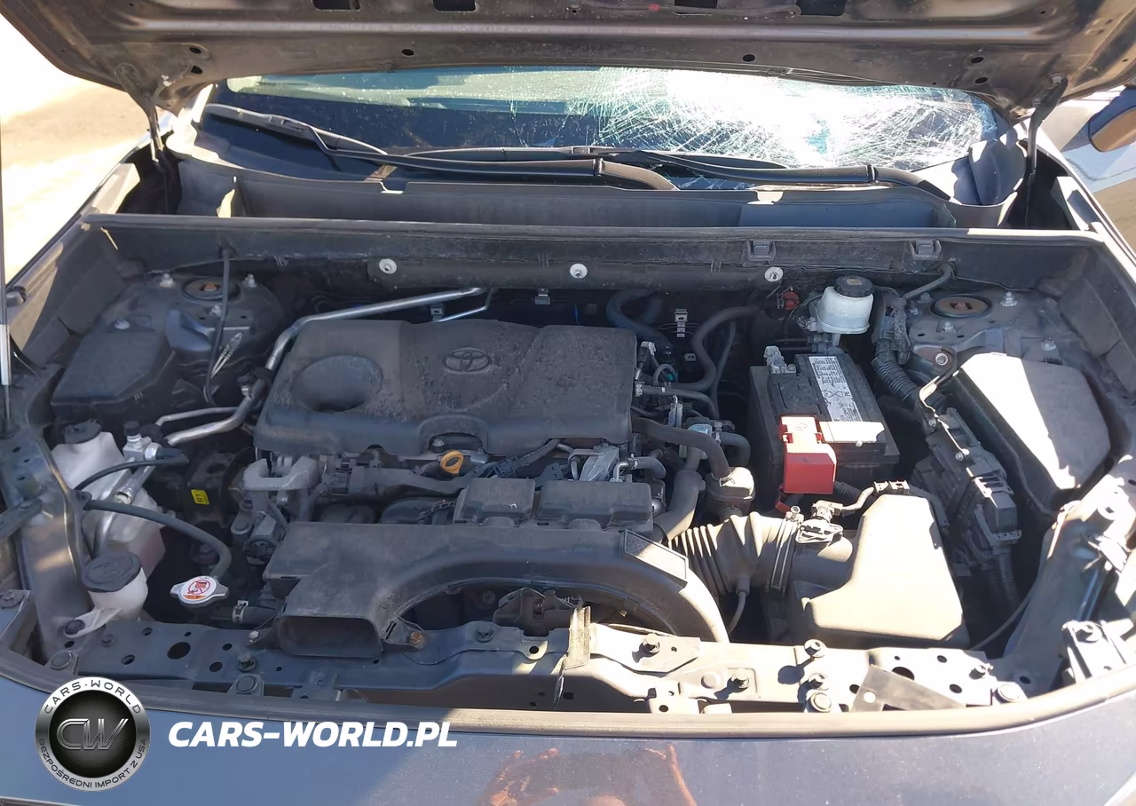2019 Toyota Rav4 Xle VIN:2T3P1RFV8KW056768 - 10