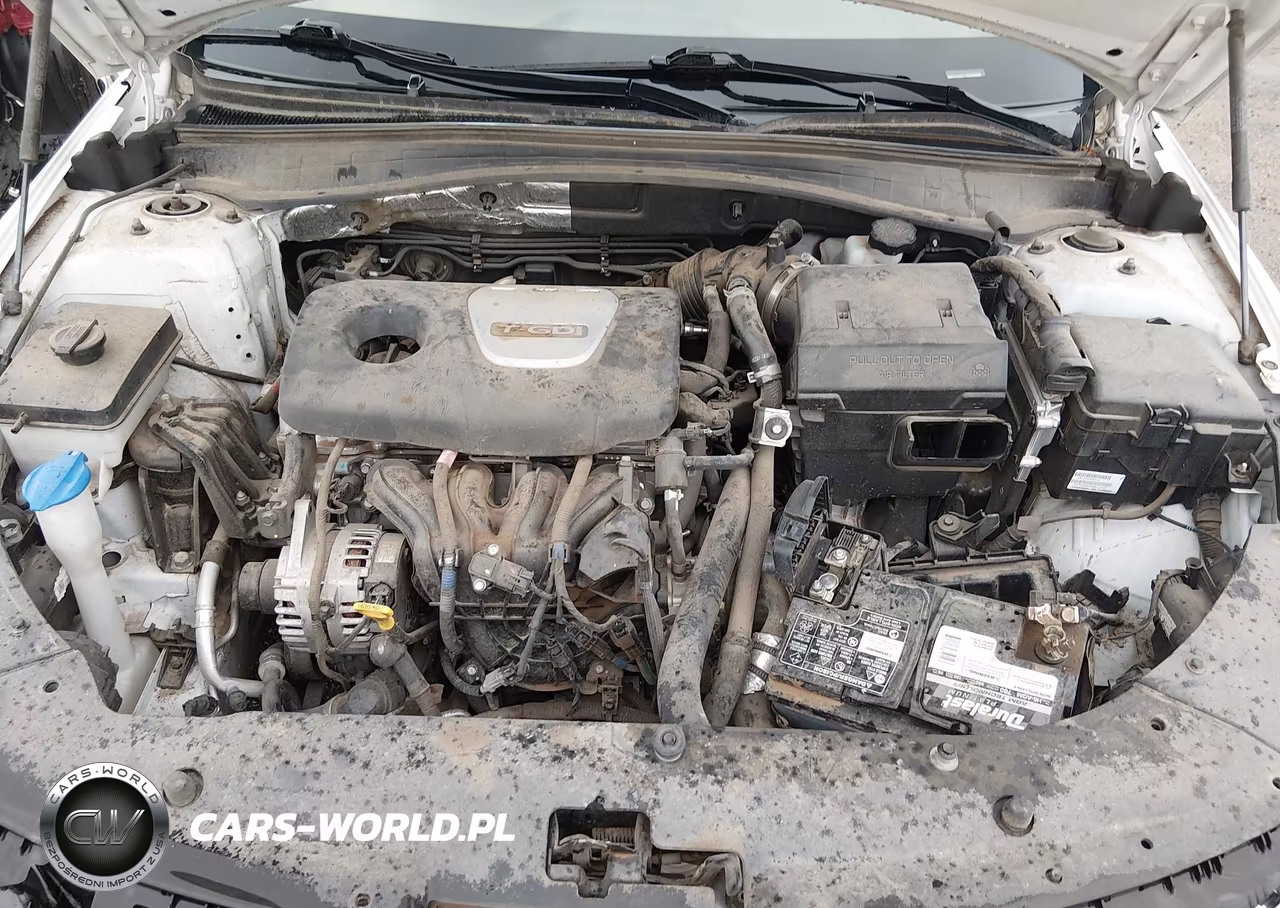 2019 Kia Optima Ex VIN:5XXGU4L13KG339089 - 10