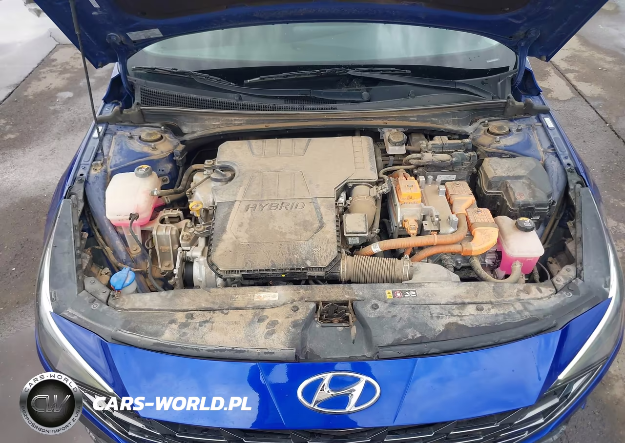 2023 Hyundai Elantra Hybrid Limited VIN:KMHLN4AJ2PU077674 - 10