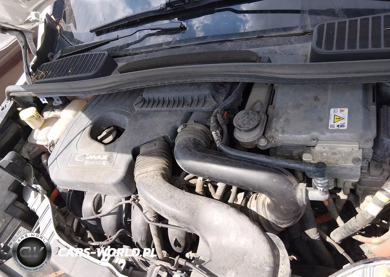 2013 Ford C-Max Energi Sel VIN:1FADP5CU1DL516452 - 10