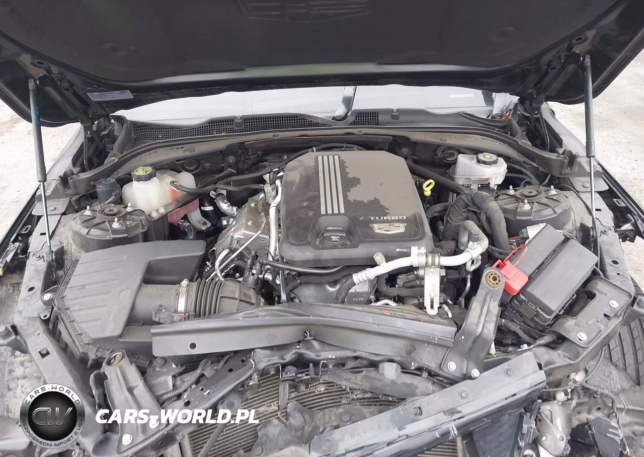 2023 Cadillac Ct4 Luxury VIN:1G6DA5RK2P0118029 - 10