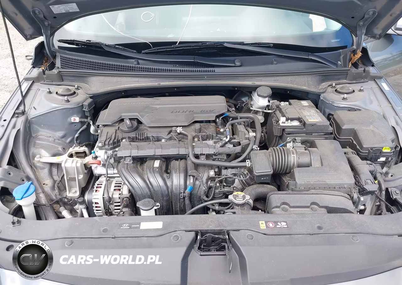2024 Hyundai Elantra Sel VIN:KMHLM4DGXRU750362 - 10