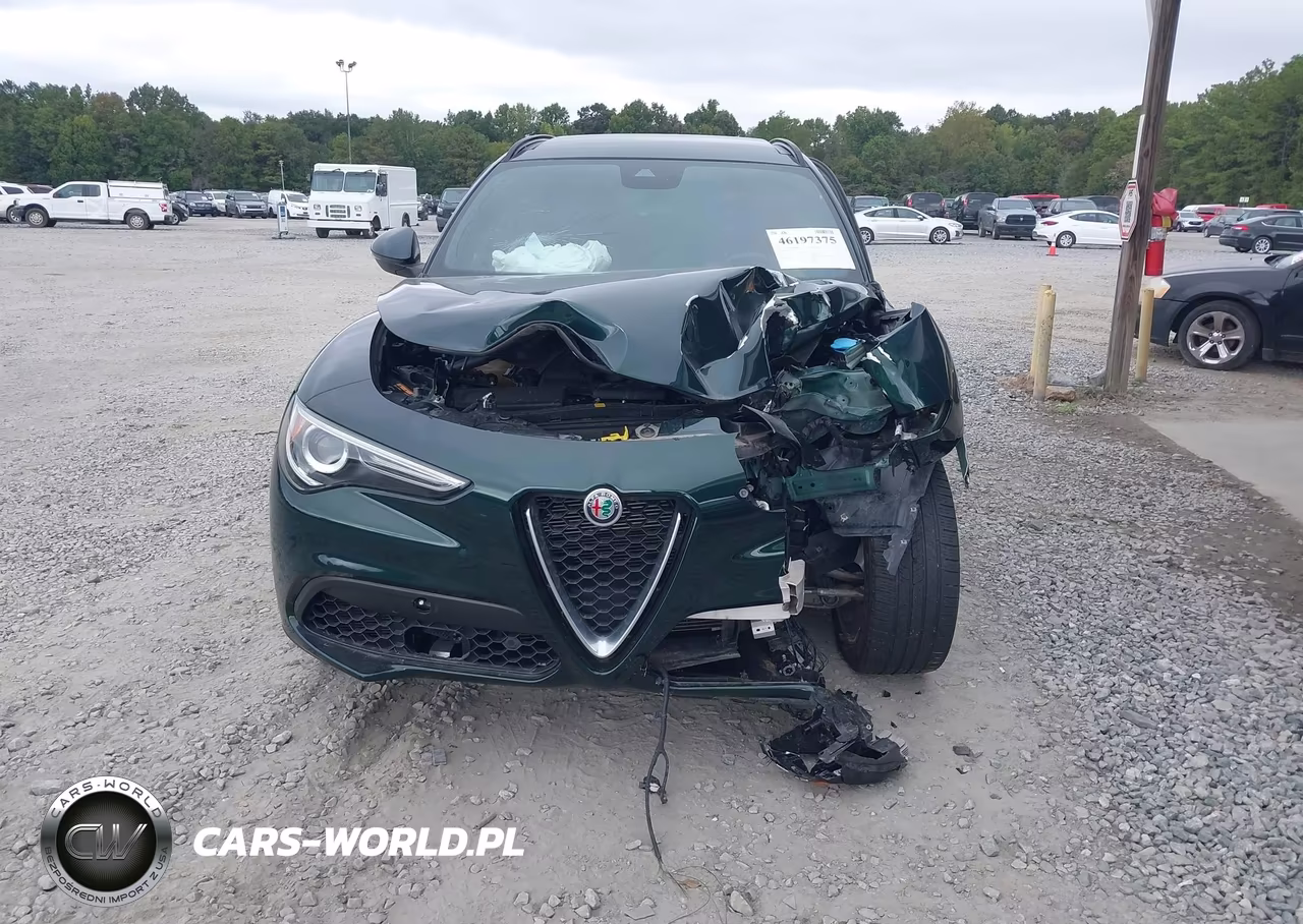 2019 Alfa Romeo Stelvio Ti Sport Awd VIN:ZASPAKBN6K7C42292 - 12