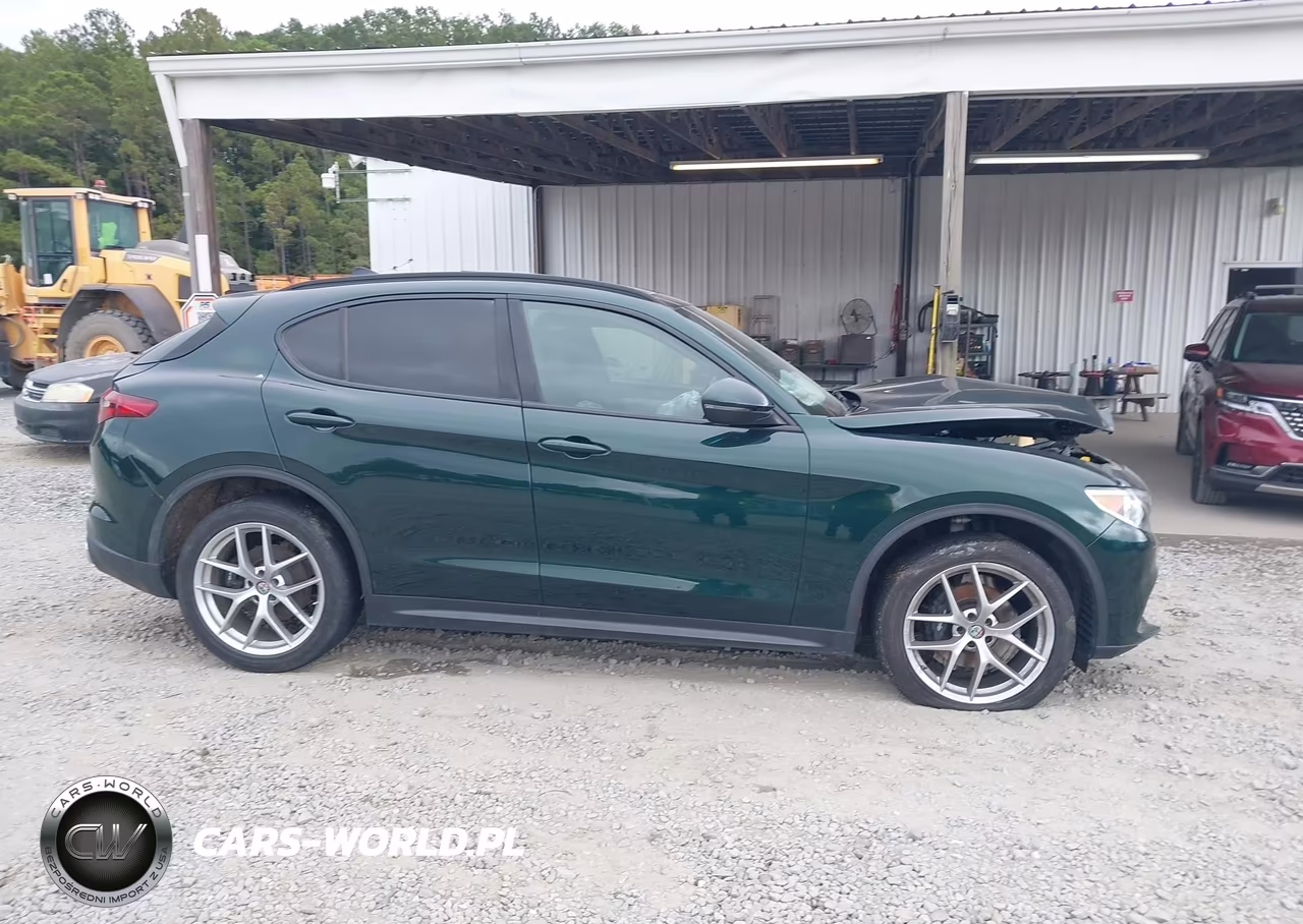 2019 Alfa Romeo Stelvio Ti Sport Awd VIN:ZASPAKBN6K7C42292 - 13