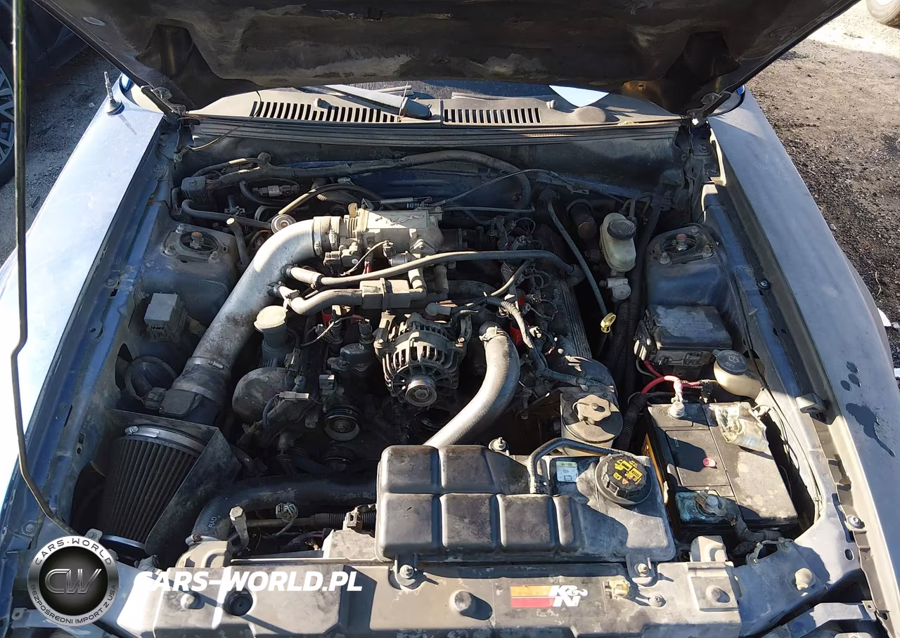 2003 Ford Mustang Gt-Gt Premium VIN:1FAFP45XX3F326026 - 10