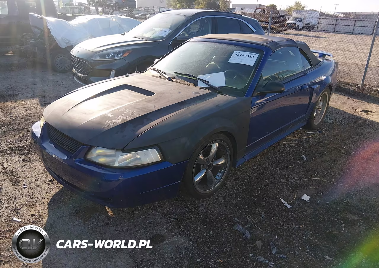 2003 Ford Mustang Gt-Gt Premium VIN:1FAFP45XX3F326026 - 2