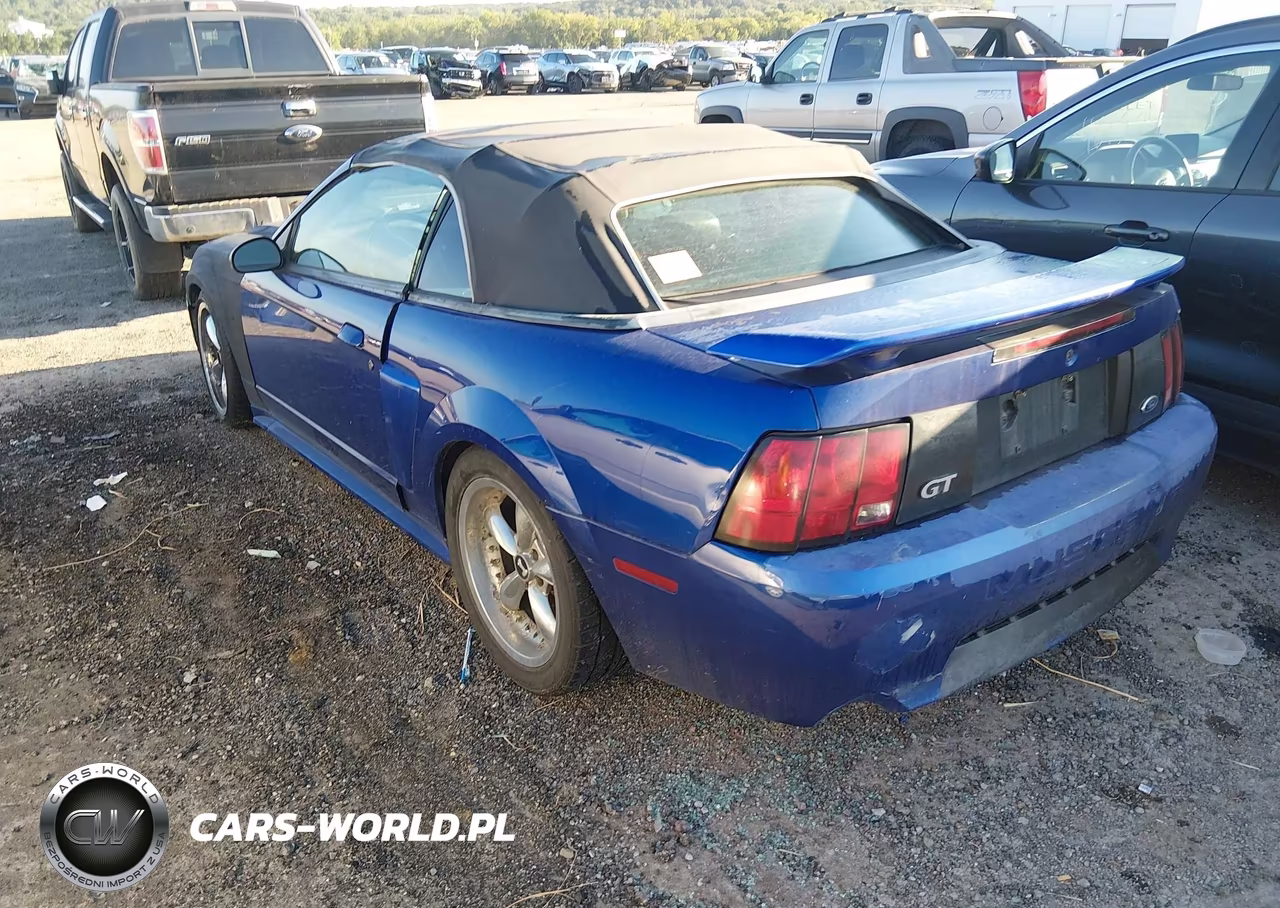 2003 Ford Mustang Gt-Gt Premium VIN:1FAFP45XX3F326026 - 3