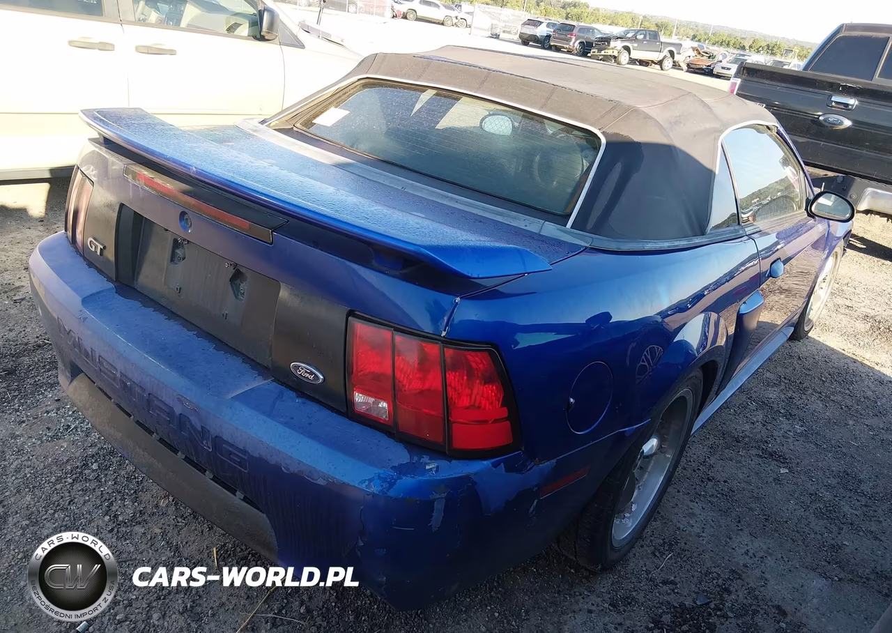 2003 Ford Mustang Gt-Gt Premium VIN:1FAFP45XX3F326026 - 4