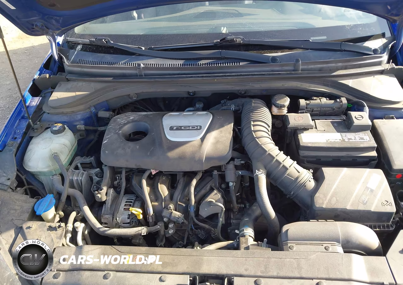 2019 Hyundai Elantra Sport VIN:KMHD04LB8KU835521 - 10