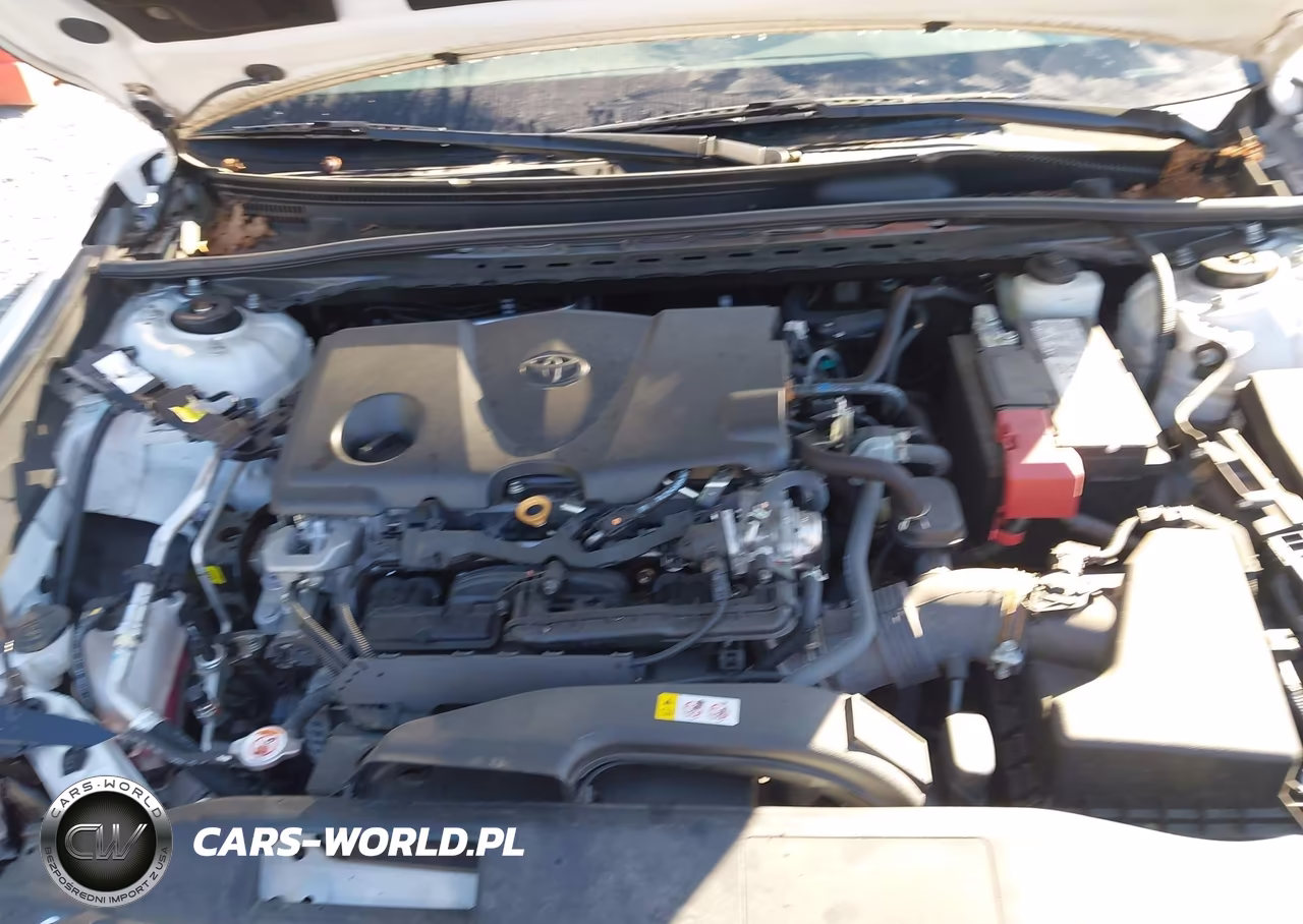 2021 Toyota Camry Se VIN:4T1G11AK2MU498164 - 10