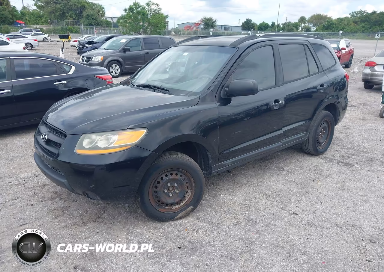 2009 Hyundai Santa Fe Gls VIN:5NMSG13D99H328572 - 2